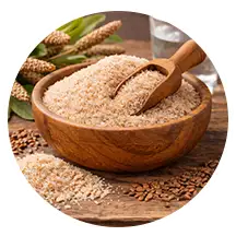 Psyllium husk natural fiber ingredient for digestive support
